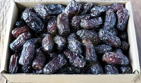 تصویر 3 از خرما مضافتی مشکی با جلوه ظاهری یکنواخت و سلامت کامل